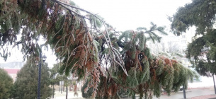 Погода в Україні на 26 січня: відлига, мокрий сніг та ожеледиця на дорогах