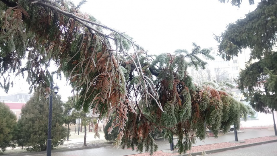 Прогноз погоды в Украине на понедельник, 26 января 2026 года