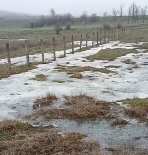 Забруднення ґрунту промисловими стоками у Доманівці: деталі екологічної НС