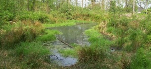 Штучна водойма ціною вироку: на Черкащині чоловіка засудили за пошкодження ґрунтів