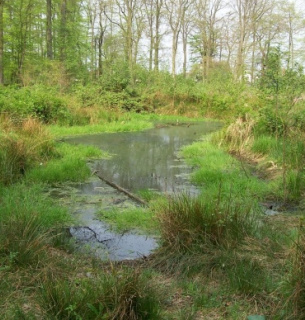 Штучна водойма ціною вироку: на Черкащині чоловіка засудили за пошкодження ґрунтів
