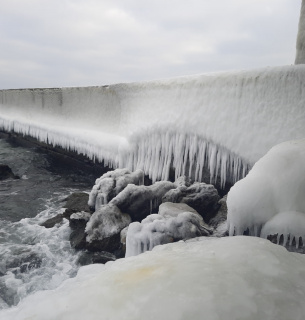 Крижане мистецтво природи: чому замерзання Чорного моря в Одесі — це добре для екології