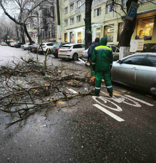 Трасу М-13 на Одещині повністю перекрили: крижаний дощ паралізував рух