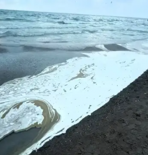 Забруднення узбережжя в Одесі.
Фото: Владислав Балінський