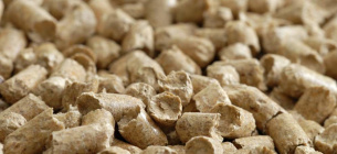 Китай став головним покупцем українського ріпакового шроту, потіснивши ЄС