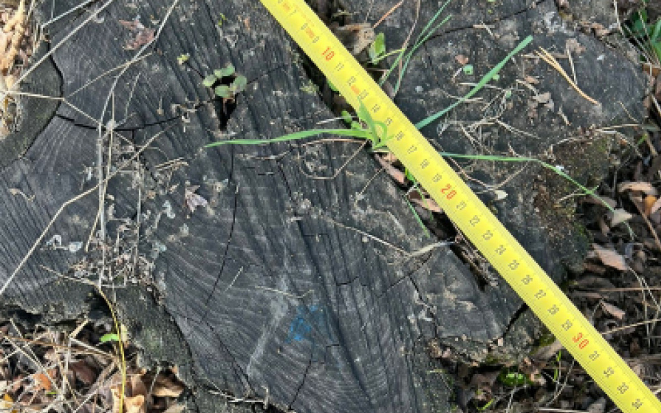 Суд над лісничим у Делятині