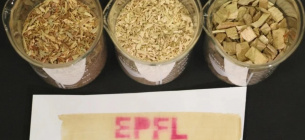 Безопасная термобумага из лигнина