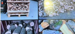 Шахрайство з дровами в Ізмаїлі