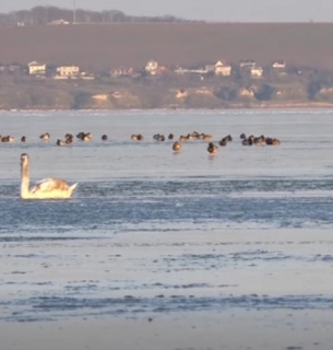 Жінка провалилася під лід на Одещині