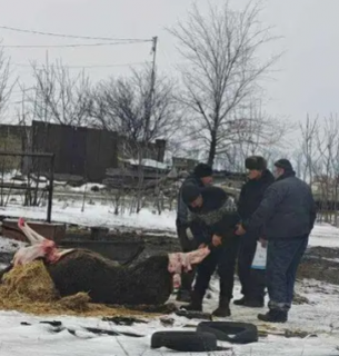 Фото: Яна Титаренко