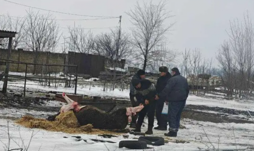 Фото: Яна Титаренко