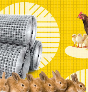 Практичні вимоги до сітки для кліток у фермерському господарстві 