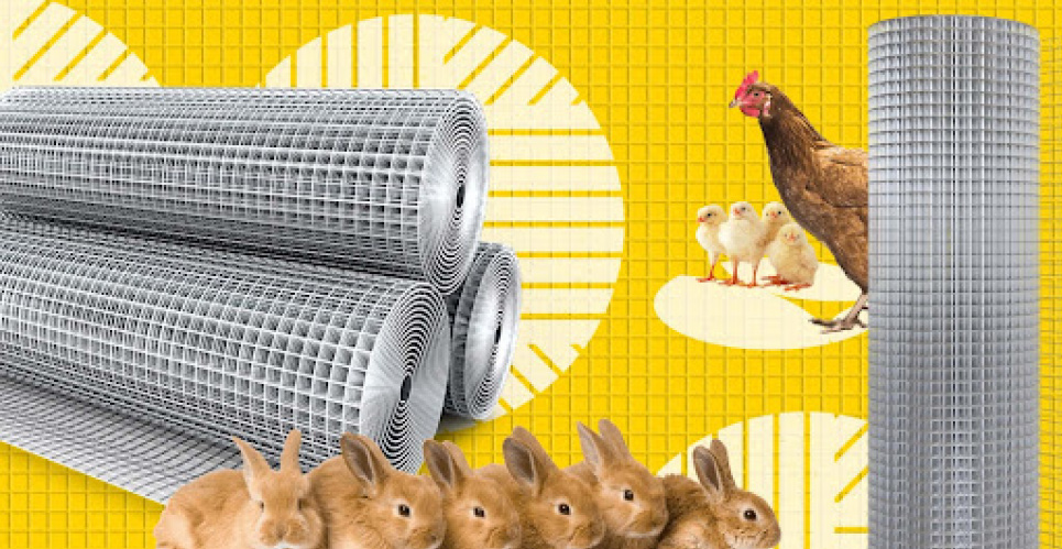 Практические требования к сетке для клеток в фермерском хозяйстве