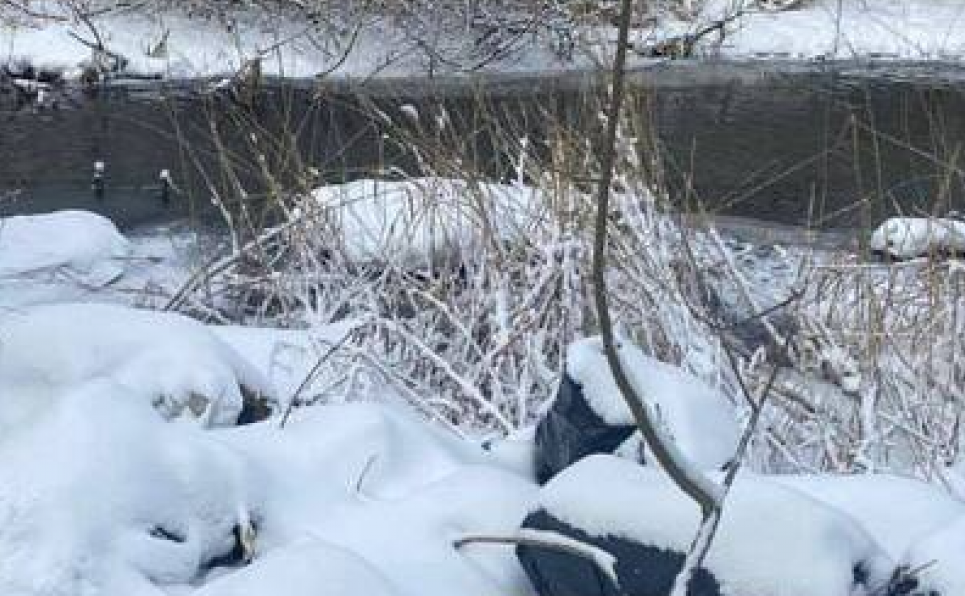 Фото: Державна екологічна інспекція у Хмельницькій області, facebook