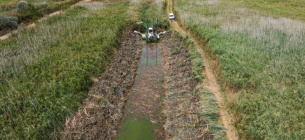 Ревайлдинг озера Картал: результаты восстановления экосистем дельты Дуная. Фото: Александр Кукарин 