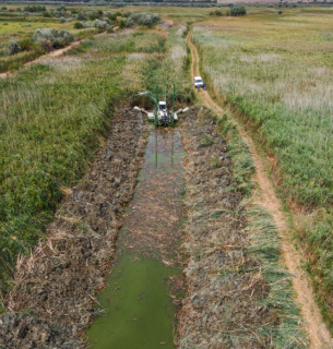 Ревайлдинг озера Картал: результати відновлення екосистем дельти Дунаю. Фото: Олександр Кукарін