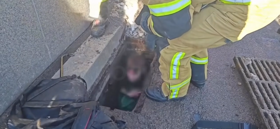 Фото: скриншот видео