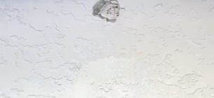 Смертельне влучання кулі ППО у кота в Ізмаїлі