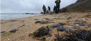 Экологическая катастрофа в Крыму