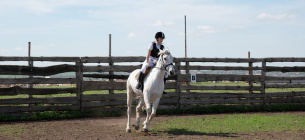 1 марта — Всемирный день лошади (World Horse Day)