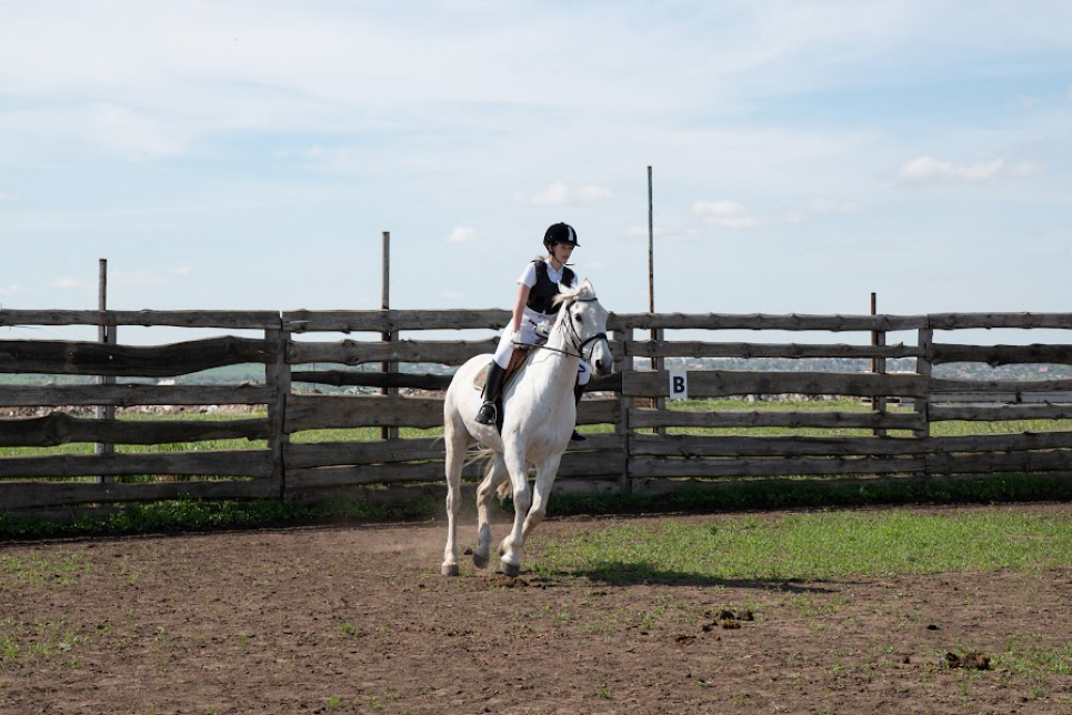 1 марта — Всемирный день лошади (World Horse Day)