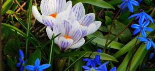 Перший день весни 2026