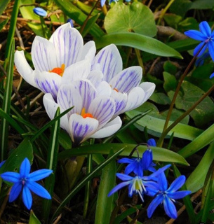 Перший день весни 2026