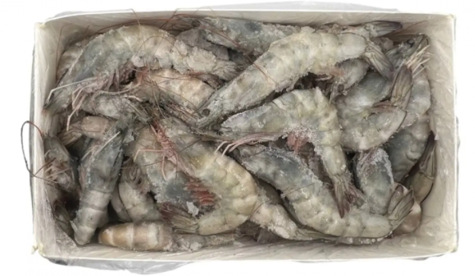 Експорт креветок Еквадору 2025: рекордні прибутки, вигідніше за нафту. Фото: bogatty_com / Instagram