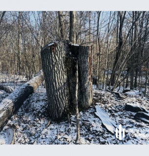 Збитки на 5 мільйонів.