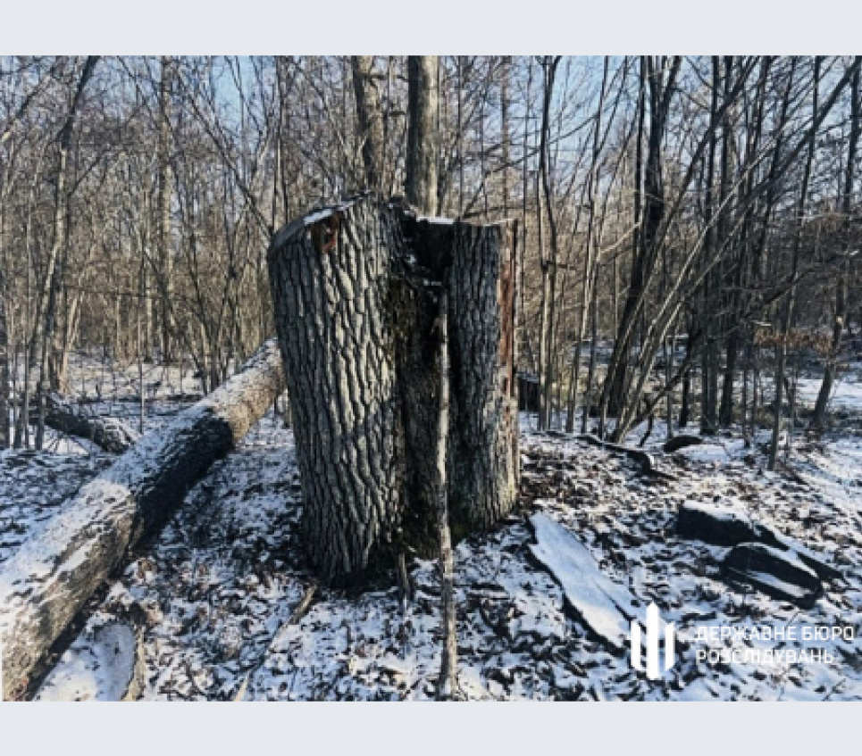 Збитки на 5 мільйонів.