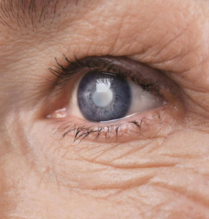 Фото з відкритих джерел