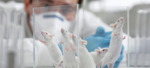 Фото иллюстративное