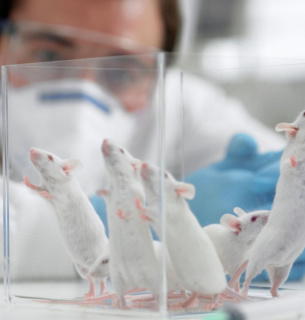 Фото иллюстративное