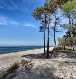 День Балтійського моря 2026: екологічні виклики та шляхи порятунку