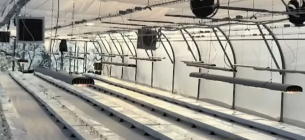 Фото: east-fruit.com