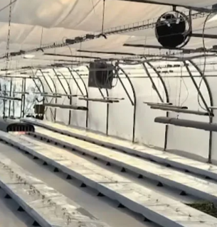 Фото: east-fruit.com