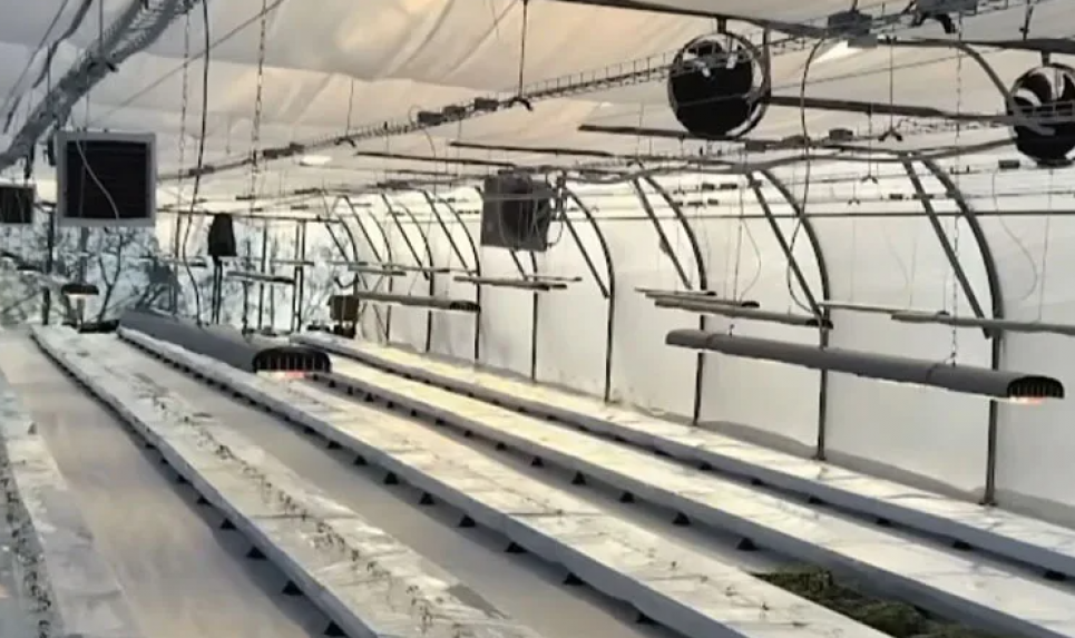 Фото: east-fruit.com