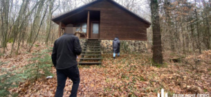 ДБР завершило розслідування лісових махінацій на Закарпатті