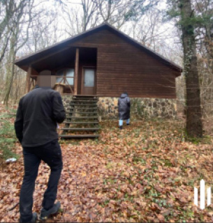 ДБР завершило розслідування лісових махінацій на Закарпатті