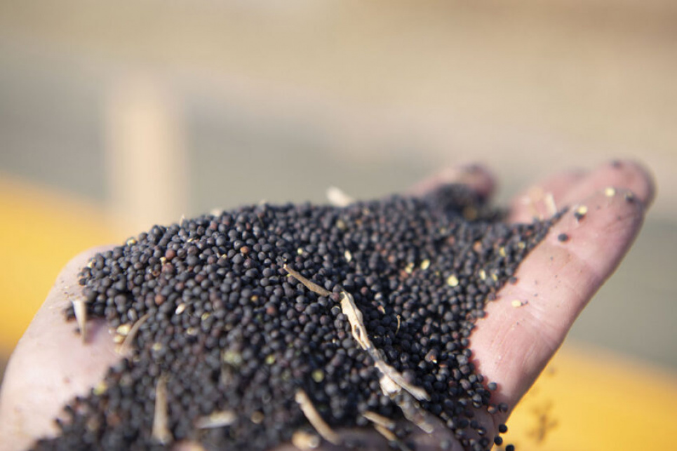 Аграрии потеряли 200 млн долларов за полгода действия ограничений