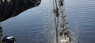 Боротьба з браконьєрством