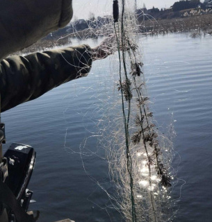 Борьба с браконьерством