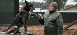 День кинолога Украины