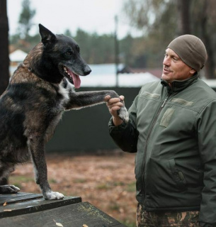 День кінолога України