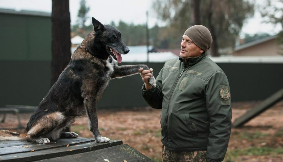 День кінолога України