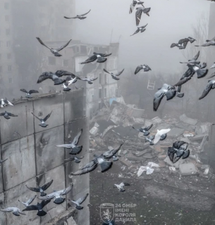 Фото: 24 ОМБр