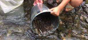 Жители Городнянского района Черниговской области своими силами восстанавливают заброшенные водоемы