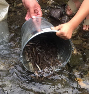 Громада Городнянщини на Чернігівщині власноруч відроджує занедбані водойми