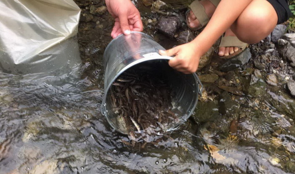 Громада Городнянщини на Чернігівщині власноруч відроджує занедбані водойми