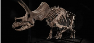 Фото thepage.ua/